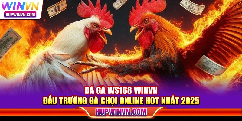 Đá gà WS168 Winvn – Đấu trường gà chọi online hot nhất 2025