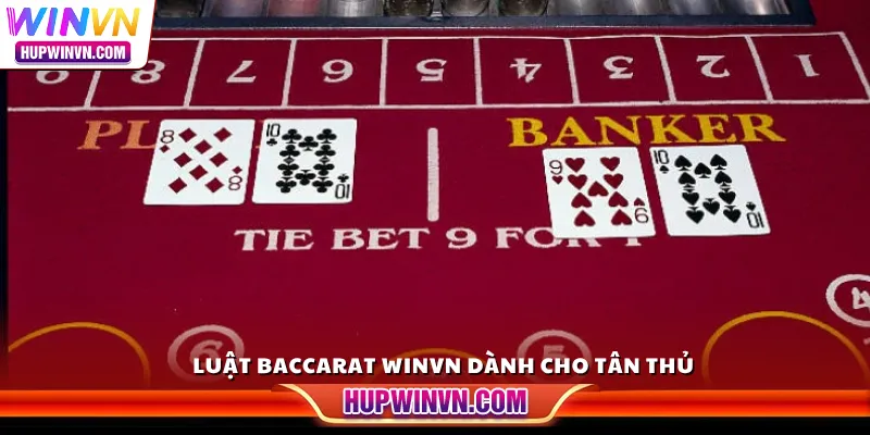 Luật Baccarat Winvn dành cho tân thủ